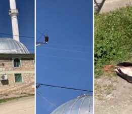 Cami üzerindeki ÇEDAŞ hattı leyleği telef etti