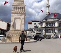 Seyyah Ömer, Yozgat’tan Zile’ye gitmeye çalışıyor