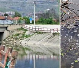 Yeşilırmak Nehri’nde balık ölümleri incelemeye alındı