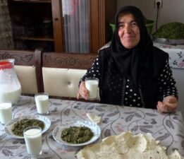 İç Anadolu’nun lezzeti madımak sofralarda yerini aldı