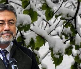 Tokat’taki zirai don mağduru üreticiye, Tarım Bakanlığı’ndan “Yanındayız”