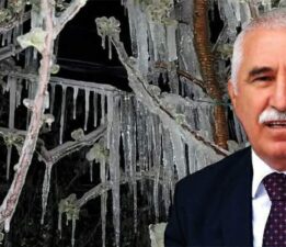 Kadim Durmaz’dan don afeti zararı gören çiftçiye nefes aldıracak teklif