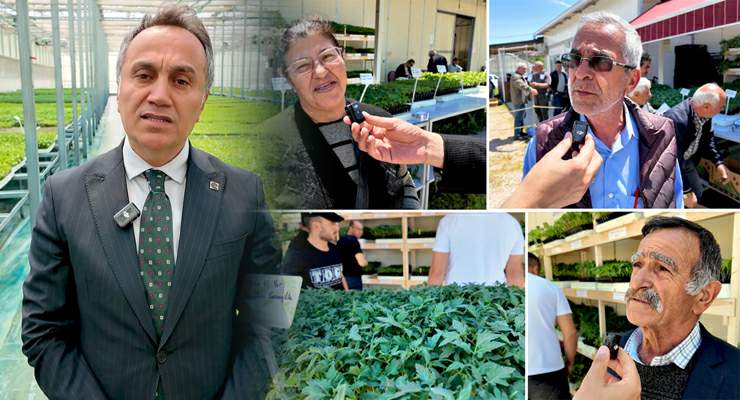 TOGÜ’den tarıma büyük destek, 1 milyon fide üreticiyle buluşuyor