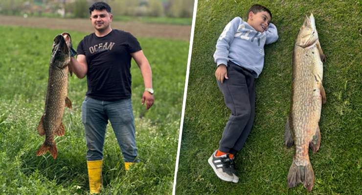 Tuttuğu 14 kiloluk turnayı bebek gibi kucağında salladı