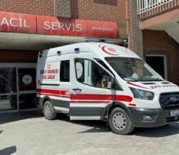 Kenenin ısırdığı minik Metehan hayatını kaybetti