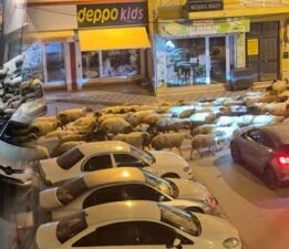 Tokat’ta gece başlayan yayla göçü dronla görüntülendi