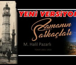 Zamanın Sarkaçları (Muhammet Halil Pazarlı)
