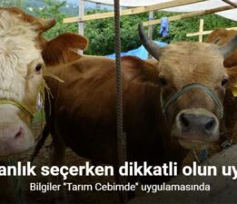 Başkan Zafer Altınsoy, “Kurbanlık seçerken dikkatli olun”