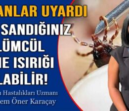 Dr. Karaçay, “Grip sandığınız ölümcül kene ısırığı olabilir”