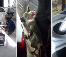 Otomobile gizlediler, narkotik köpeğinden kaçamadılar