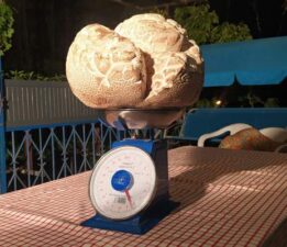 “Hayatımda ilk defa gördüm” dedi, görenler gözlerine inanamadı