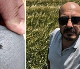 Üstündeki ölümcül keneleri selfie sayesinde fark etti