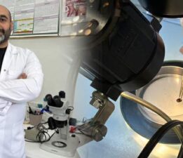 “Asya kökenli kenenin hastalık bulaştırma riski şimdilik yok”