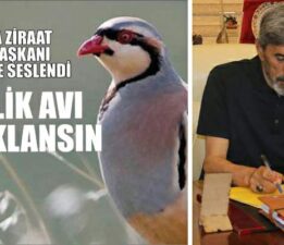 Başkan Çetindağ, “Kene artışı biyolojik savaş olabilir”