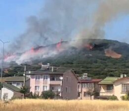Niksar’da orman yangını, İtfaiye ekiplerinin müdahalesi sürüyor