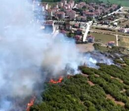 Tokat’taki orman yangını dron ile görüntülendi