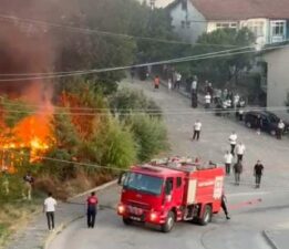 Tokat’ta arı kovanları küle döndü