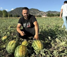 Tokat’ta karpuzun tarladaki dönüm fiyatı 10 bin liraya geriledi