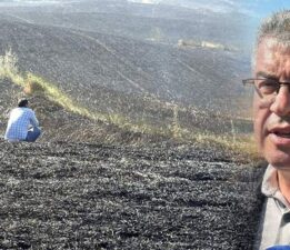 Tokat’ta buğday tarlasında çıkan yangın 2 bin dönüm araziyi kül etti