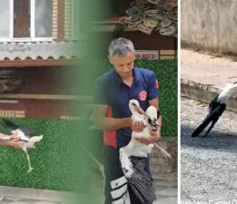 Erbaa’da İtfaiye erinin refleksi leyleğin hayatını kurtardı