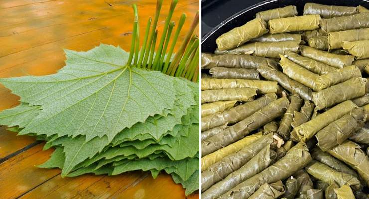 Tokat’ın enfes damak tadı ve lezzeti “Narince Yaprağıyla Sarma”