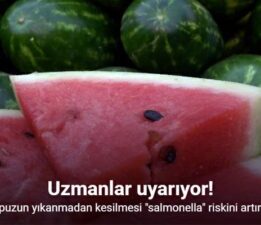 Karpuzun yıkanmadan kesilmesi “salmonella” riskini artırıyor