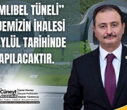 Cüneyt Aldemir, “Tokat’ta ulaşımda yeni dönem başlıyor”