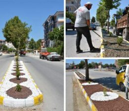 Zile’de, “Kuru Peyzaj” uygulamasıyla su tasarruflu ve estetik çözüm
