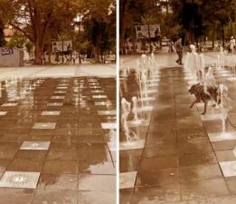 Tokat’ta sıcaklardan bunalan köpek süs fıskiyesinde serinledi