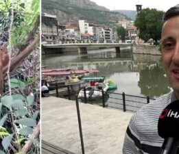Davetsiz misafire böyle seslendi, “Sincap kardeş ekmeğimi niye çaldın”