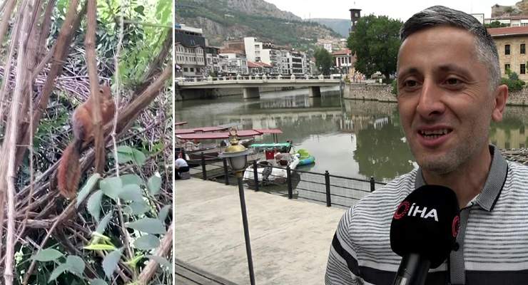 Davetsiz misafire böyle seslendi, “Sincap kardeş ekmeğimi niye çaldın”