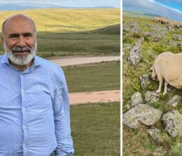 639 yıllık “Tomağın Mezarlığı” köylülerin hayvanlarına tuz taşı oldu