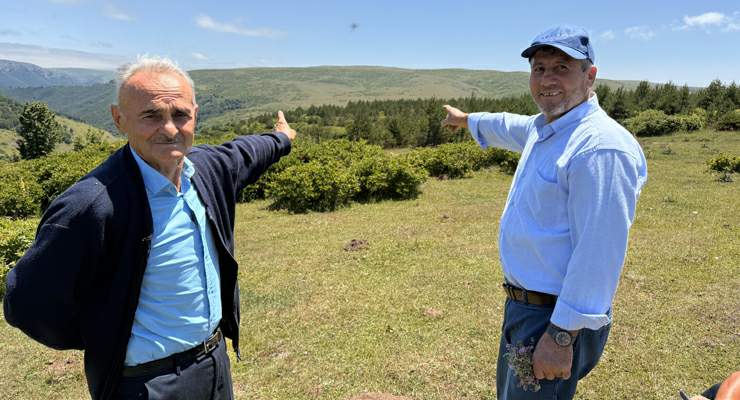 Yayla sakinleri imece usulü çalışarak bozkırı ormana dönüştürdü