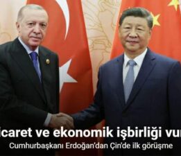 Cumhurbaşkanı Erdoğan, Çin Devlet Başkanı Xi ile görüştü