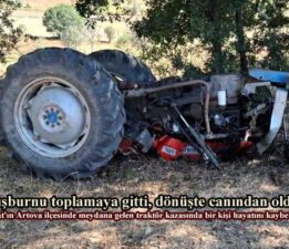 Kuşburnu toplamaya gitti, dönüşte canından oldu