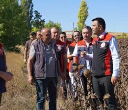 Tokat’ta 39 bin dekar alanda 19 tona yakın ayçiçeği tohumu ekildi