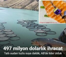 Tatlı sudan tuzlu suya daldık, AB’de lider olduk