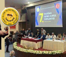 TAB’nın yeni genel başkanı “Tokatlı Ali Demir”
