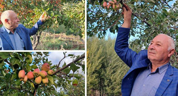 60 yaşındaki çiftçi, “İlk kez böyle bir şey görüyorum”