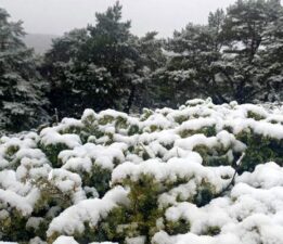 Tokat yükseklerinde kar, kent merkezinde yağmur etkili oldu