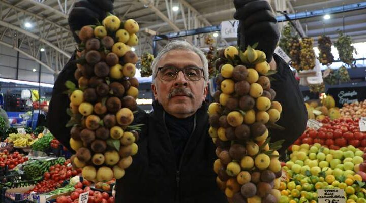 2 yılda bir yetişiyor, olgunlaşınca değil çürüyünce tüketiliyor