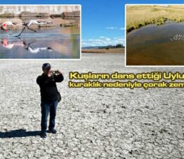 Kuşların dans ettiği “Sulusaray Uylubağı” göleti kurudu