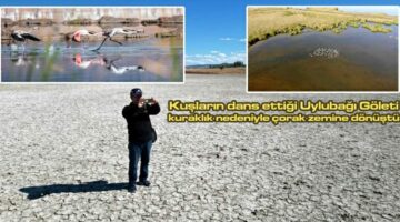 Kuşların dans ettiği “Sulusaray Uylubağı” göleti kurudu