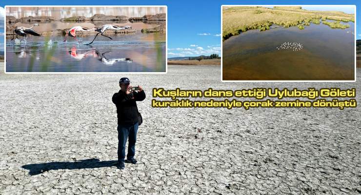 Kuşların dans ettiği “Sulusaray Uylubağı” göleti kurudu