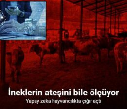 Yapay zeka süt hayvancılığında çığır açtı