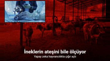 Yapay zeka süt hayvancılığında çığır açtı