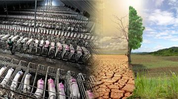 Endüstriyel hayvancılık, Küresel iklim hedeflerini tehdit ediyor