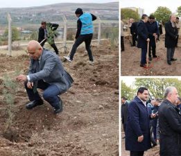 Zile’de geleceğe nefes oldular