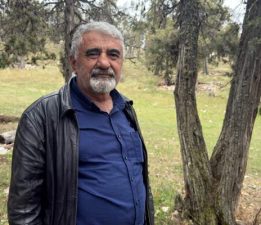 Bu ormana asırlardır balta girmiyor