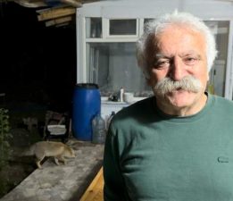 Tilki ailesi her akşam yemek için bağ evine geliyor